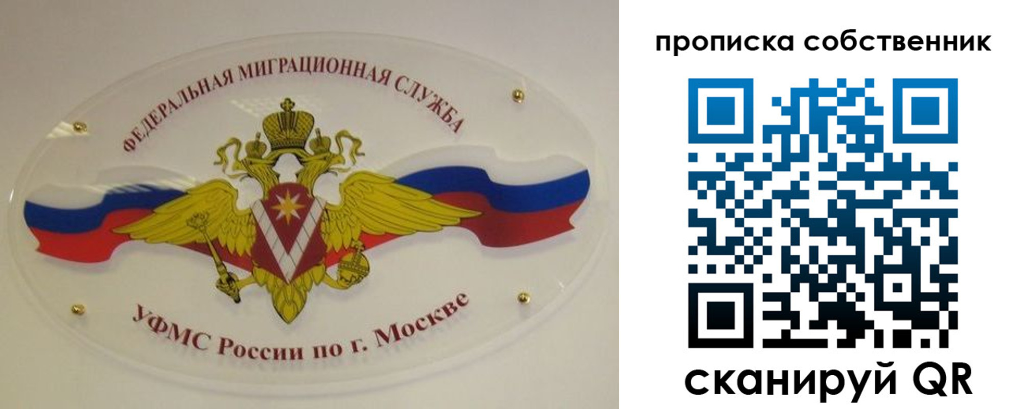 прописка 2025 в Волосово